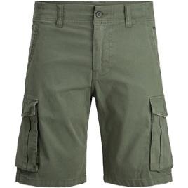 Jack   Jones  Shorts / Bermudas 12184905 ZACK  Verde Disponível em tamanho para homem. EU S,EU M,EU L,EU XL.Homem > Roupas > Calço
