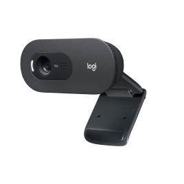 Logitech - Webcam C505 1280x720