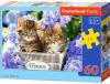 Puzzle CASTORLAND Cute Kittens (60 Peças)